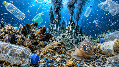 Scientists looked 2,000 metres below the ocean and found microplastics in 92% of deep-sea animals, revealing plastic has reached Earth's most remote ecosystems and could threaten marine food webs |