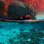 Scientists may have solved the 252 million-year-old mystery behind Earth's greatest mass extinction |