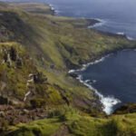 Six helicopters will drop 550 tons of poison on this island: Why a project is spending $10 million on this exercise |