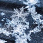 Canadian proverb of the day: 'No snowflake lands the same twice' — Even the smallest moments in life never repeat in the same way, no matter how similar they seem