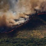 Spain Wildfires: 'All out of control': Spain invokes first wildfire emergency as fires rage across Europe; over 10,000 evacuated