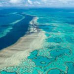 Scientists mapped the invisible microbiome of the Great Barrier Reef and found more than 500 new bacterial species and over 300,000 viruses in its waters