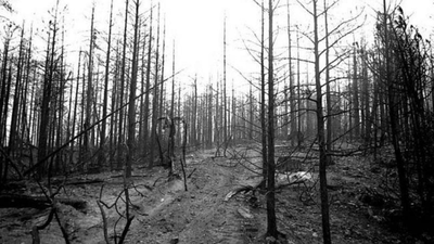 The legend of California's terrifying Char-Man: How a wildfire gave birth to one of America's haunting legends