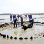 This 4,000-year-old wooden monument in England may have been built to ‘extend summer’, archaeologists say