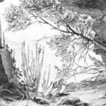 Gunaikurnai Rituals: Grass burned for magic, healing and cursing: 25,000-year-old cave discovery reveals ancient Australian rituals