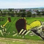 This Japanese village hides giant artworks in its rice fields: From Tanjiro to Napoleon, they only emerge every summer to mesmerise the world |