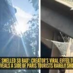 Eiffel Tower: ‘This place smelled so bad’: Creator’s viral Eiffel Tower video reveals a side of Paris tourists rarely show |