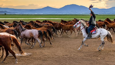Turkey's Cappadocia region was home to free-roaming horses, then local cowboys began gathering them for guided photo tours, turning the iconic herds into a tourism attraction that's helping preserve them