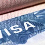 What happened to 'Green Cards stapled to diplomas': Attorney reacts to proposal of $100,000 OPT fee