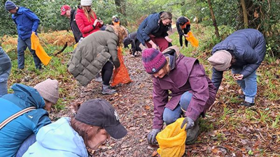 Around 100 volunteers collected 11 million seeds by hand across Scotland; nearly 8 million native trees are now being grown to rebuild its disappearing Atlantic rainforest |
