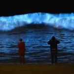 Why do California’s beaches glow blue at night and what causes this stunning bioluminescent phenomenon