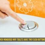 Toilet Flush Buttons: Ever wondered why toilets have two flush buttons? Here's what each one actually does