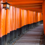 Why does this street in Japan look like an endless tunnel of red gates: The fascinating story behind thousands of vermilion ‘torii’ | World News