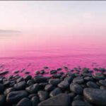 In 2023, scientists turned part of San Diego's ocean bright pink to see how river water reaches the sea |