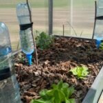 Upcycle Plastic Bottles: Do not throw away plastic bottles; turn them into useful household tools using these simple steps