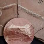 80-million-year-old snake skull discovery in Brazil proves that ancient snakes conquered the three worlds at once |