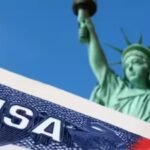US student visas for Indians drop 62%; CIS report urges scrapping of OPT programme | World News