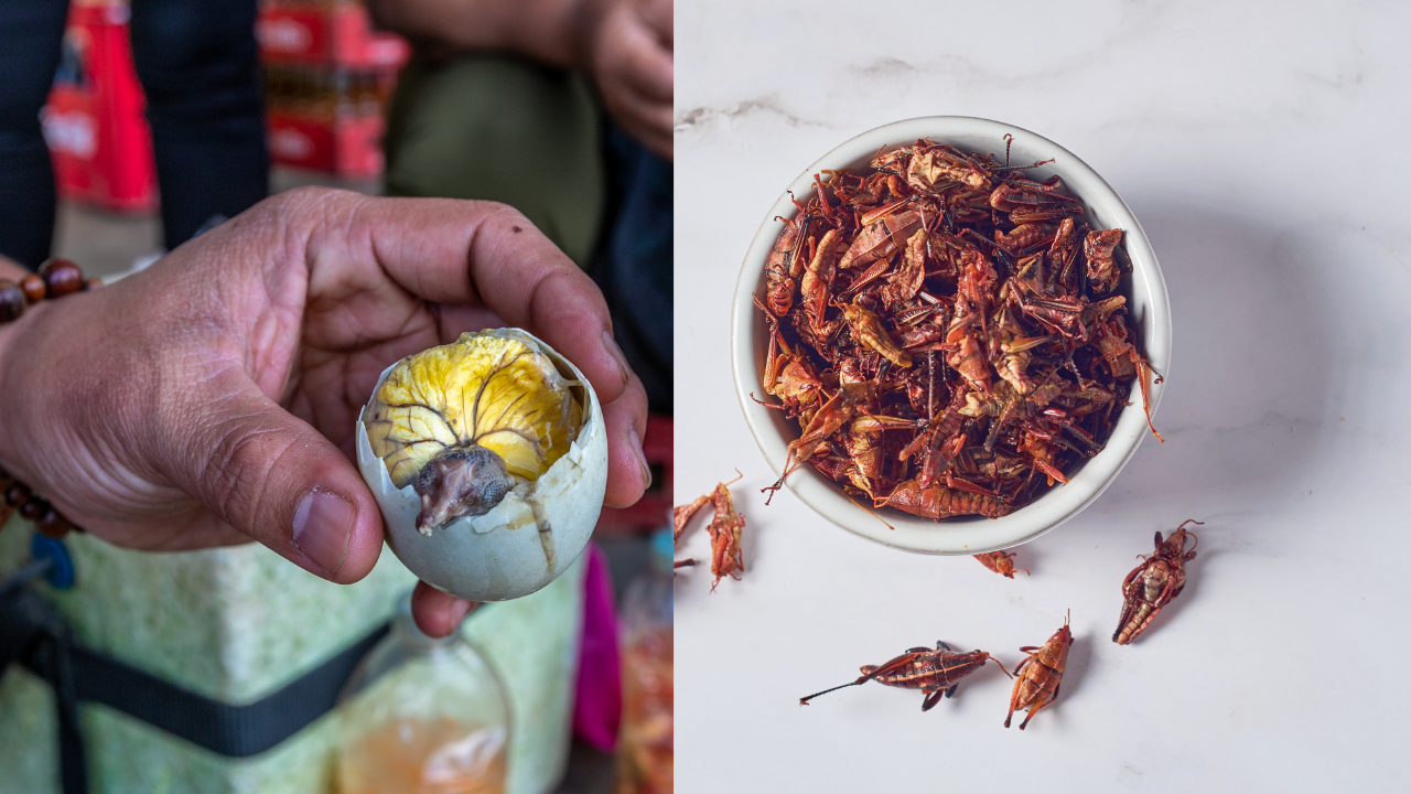 9 strangest street foods from around the world that locals swear by