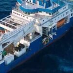 Scientists found 31 new species in the ocean's vast midwater zone, including nine new jellyfish using underwater robots and new imaging technology |