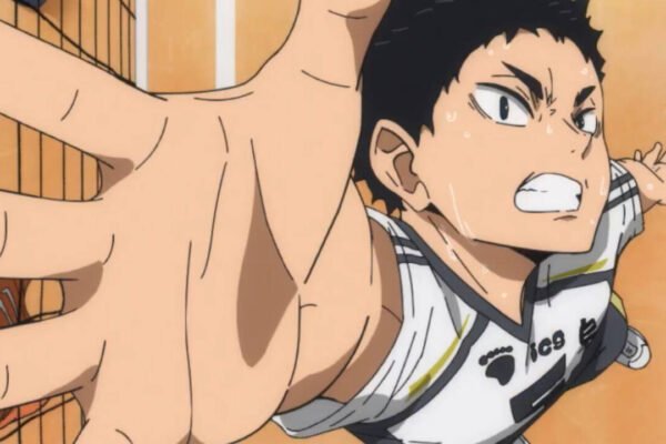 Waiting for Haikyu!! Where the Monsters Go? 5 anime to watch in the meantime