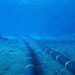 Scientists turn undersea internet cables into giant whale detectors that can track even silent whales through tiny changes in water movement |