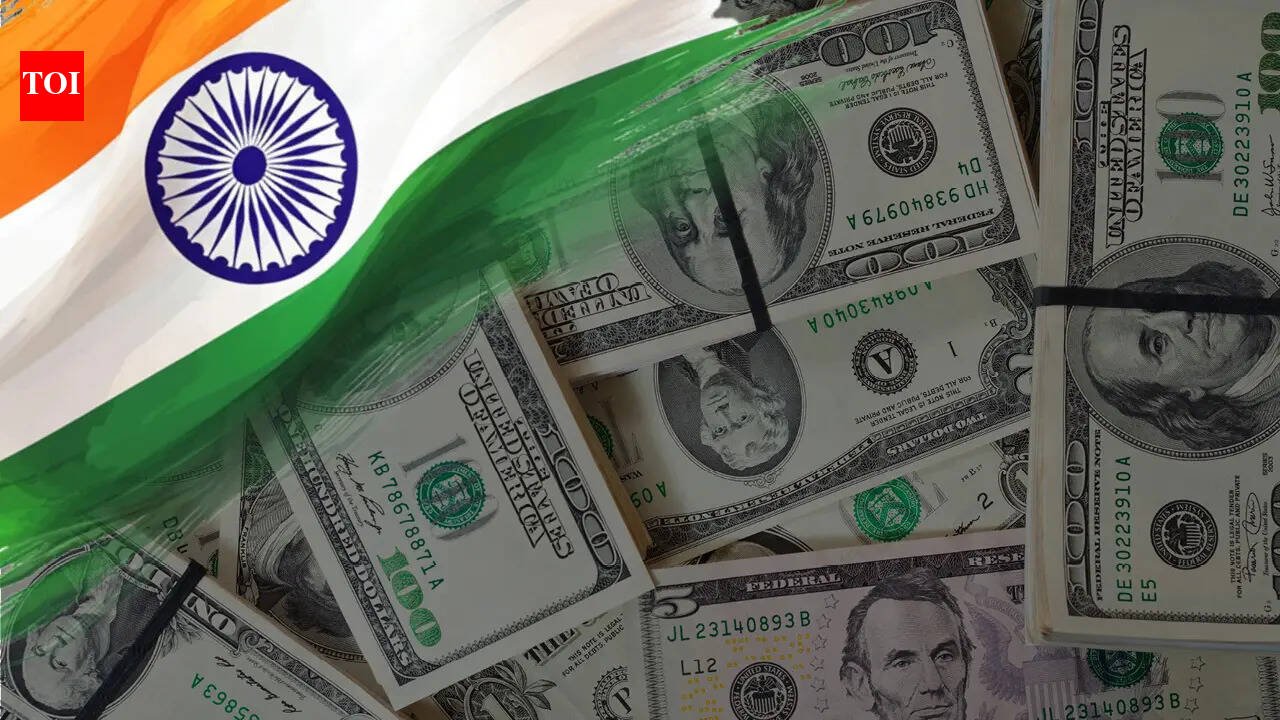 Forex boost: RBI's special swap facility draws $40.8 billion in foreign inflows by July-end