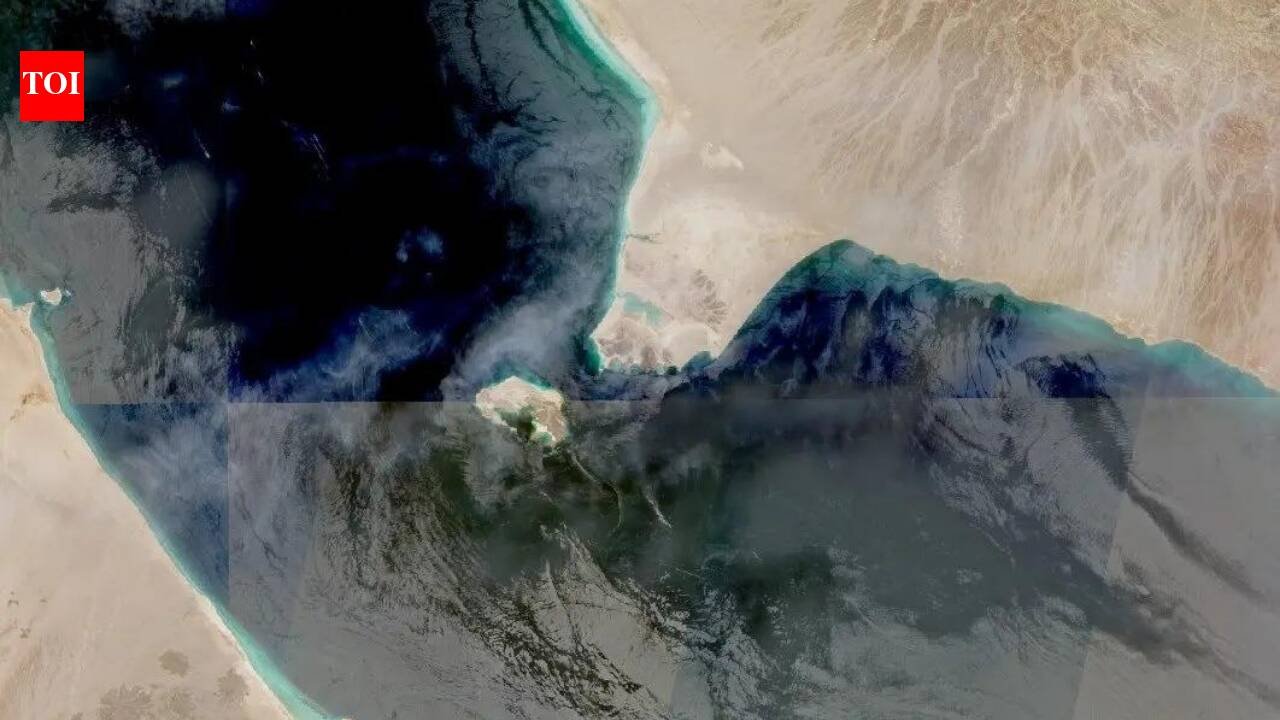 Saudi’s Yanbu port sees busy days despite Houthi threats; crude transits as oil tankers go dark