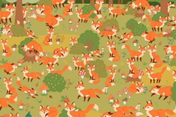 Optical illusion brain teaser: You might be a record breaker if you spot the 'blue-eyed fox' among the browns in this jungle