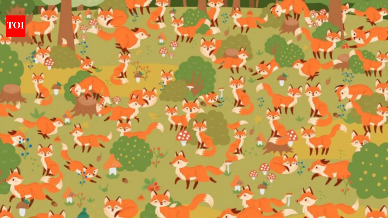 Optical illusion brain teaser: You might be a record breaker if you spot the 'blue-eyed fox' among the browns in this jungle