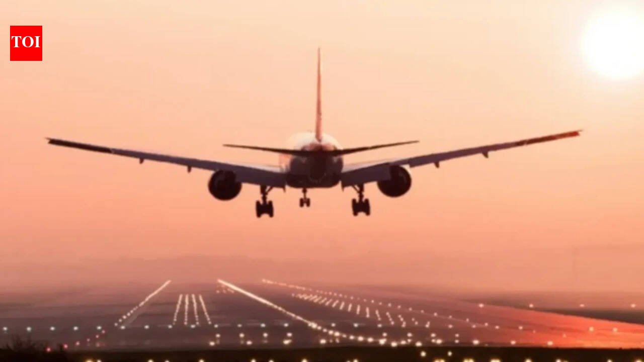 'Completely false, irresponsible': Centre refutes claim of ethanol blending with jet fuel