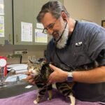 In 2023, an Oregon veterinarian left a $150,000 job to ‘soft retire’; three years later, relief work pays about twice as much
