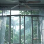 Monsoon home care: 7 simple ways to prevent fungus on walls before it starts spreading |