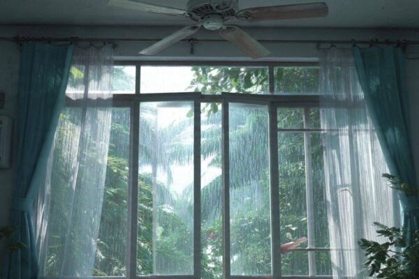 Monsoon home care: 7 simple ways to prevent fungus on walls before it starts spreading |
