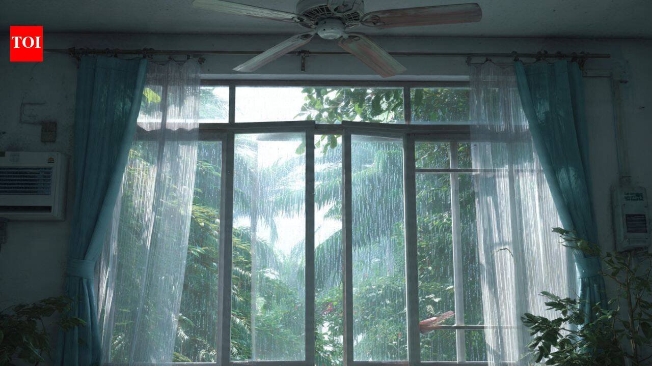 Monsoon home care: 7 simple ways to prevent fungus on walls before it starts spreading |