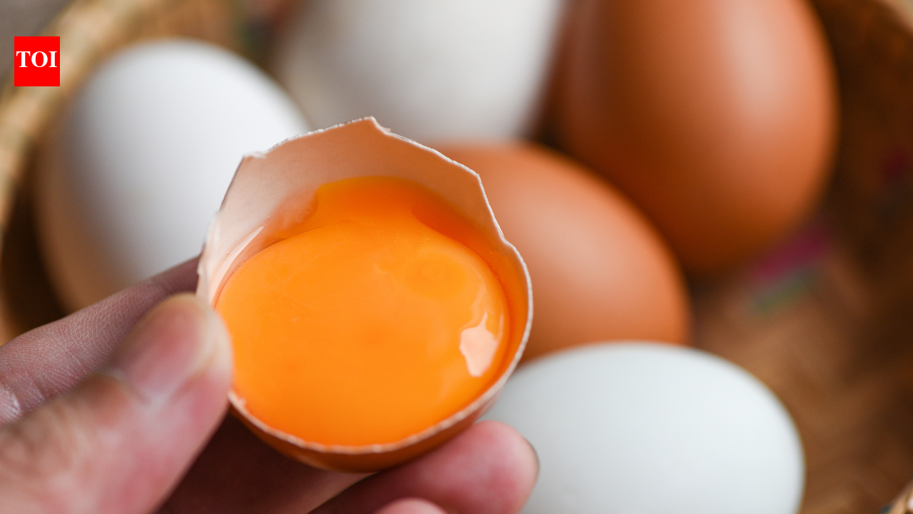 Why some eggs have dark orange yolks and what they really reveal