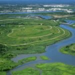 In the 1990s, New York chose wetlands over conventional storm sewers on Staten Island; the Bluebelt strategy saved taxpayers $80 million in infrastructure costs