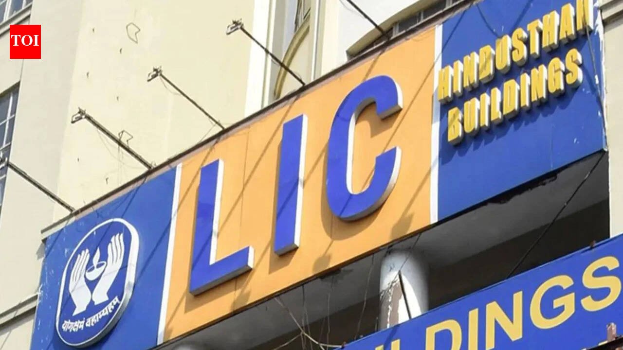 LIC chief flags pressure of global turmoil on industry