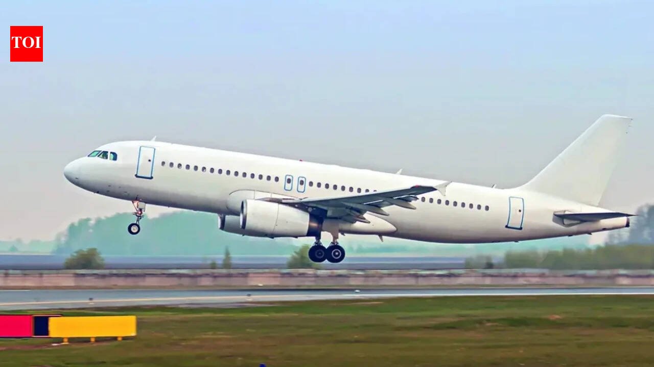 Govt: No policy stops airports from taking airline stakes