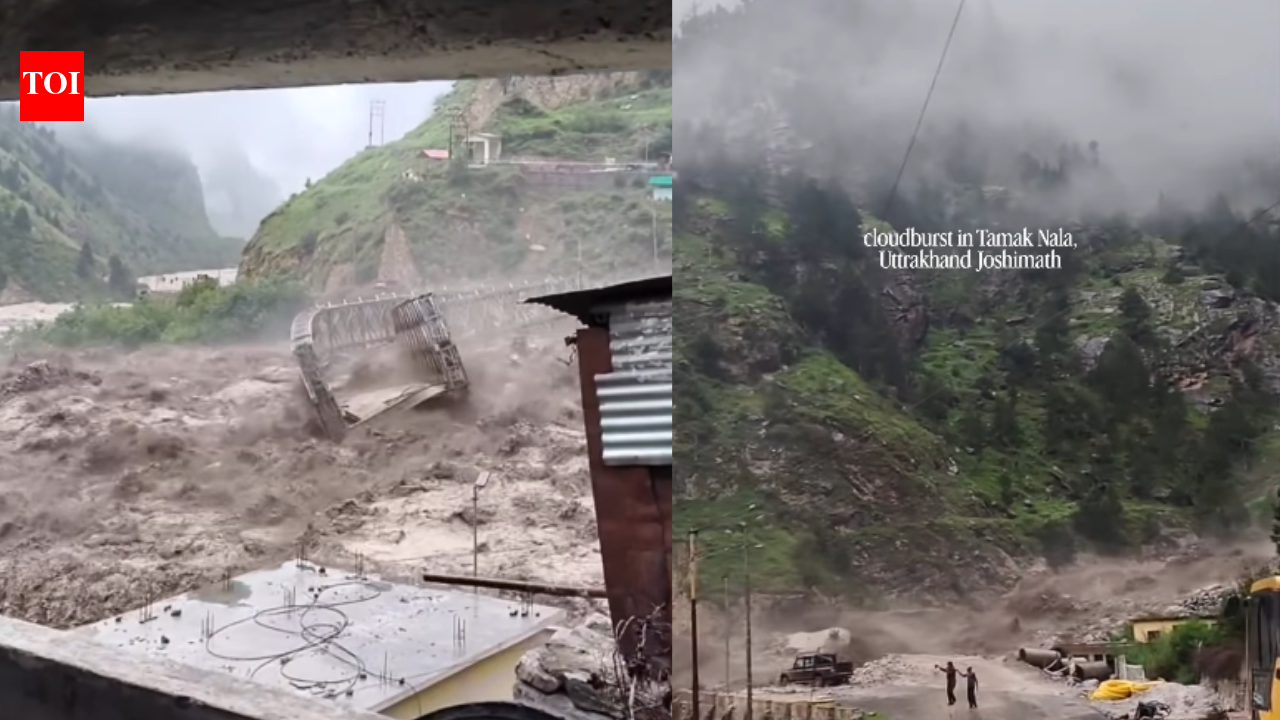 Chamoli District News: Bone-chilling visuals go viral as heavy rains wash down Bailey bridge in Uttarakhand's Chamoli district