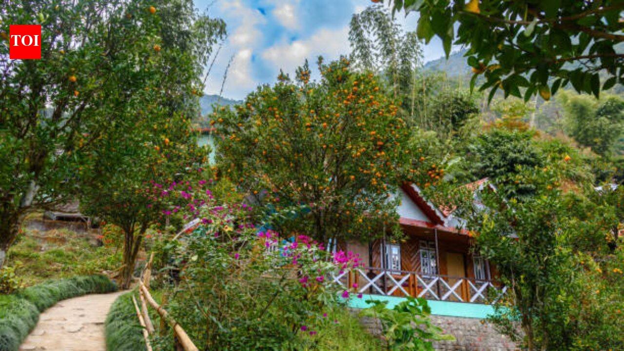 Kashmir Rooftop Farming: On a Kashmir rooftop in Shopian, one farmer is growing a whole farm's worth of food