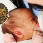 Does methi increase breast milk? What science says about fenugreek and lactation