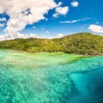 In 1987, a British naturalist became the first professional warden of a remote Seychelles island; a year later 29 endangered warblers were moved there and established a new population