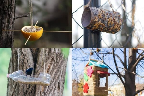 5 creative bird feeders you can make from things you already have at home