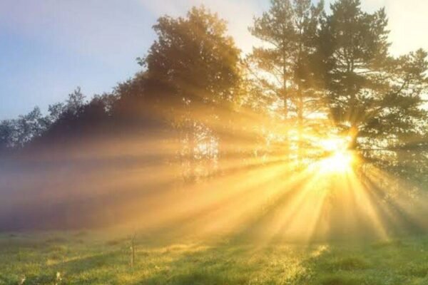 Why morning sunlight is important for your body; here's all you need to know
