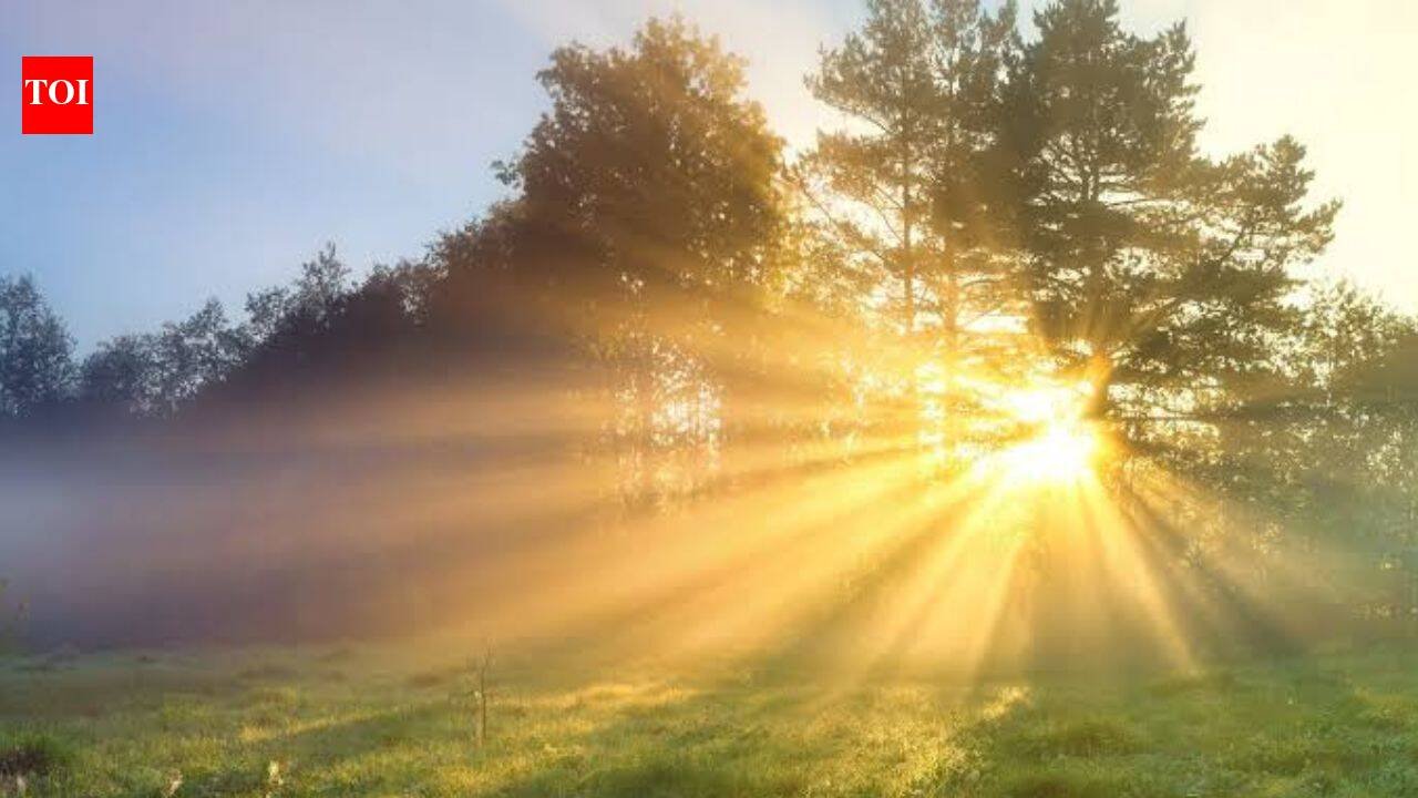 Why morning sunlight is important for your body; here's all you need to know