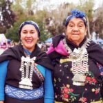 In 1993, Chile adopted an Indigenous Law that enabled land restitution; by 2023 more than 510,000 acres had been returned to Mapuche communities, but native forest cover had barely changed