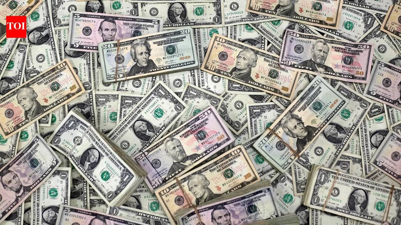 Pakistan seeks $10 billion facility from US, submits bid to Treasury Department; here's why