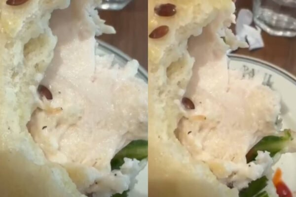 ‘Is that a worm?’ Diner finds live worm in sandwich at very popular Gurugram restaurant; video goes viral