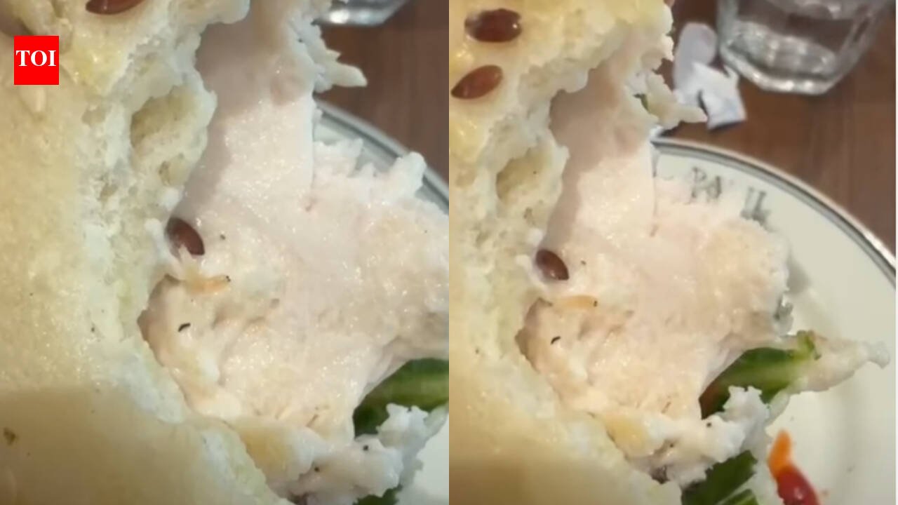 ‘Is that a worm?’ Diner finds live worm in sandwich at very popular Gurugram restaurant; video goes viral