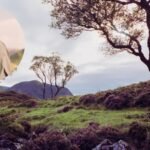 A businessman bought a 23,000-acre Scottish sporting estate and spent two decades rewilding it; one million native trees later, red squirrels have been reintroduced